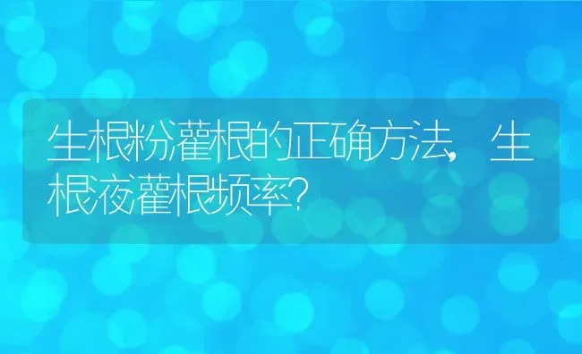 生根粉灌根的正确方法,生根液灌根频率？ | 养殖常见问题