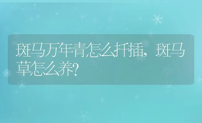 斑马万年青怎么扦插,斑马草怎么养？ | 养殖常见问题