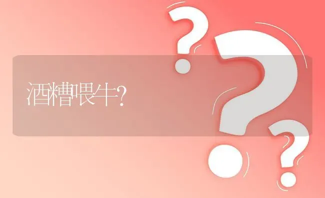酒糟喂牛? | 养殖问题解答