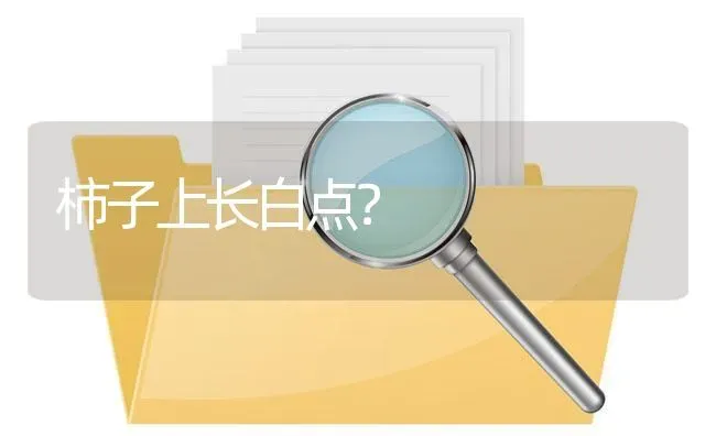 柿子上长白点? | 养殖问题解答