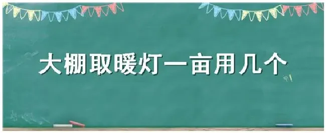 大棚取暖灯一亩用几个 | 生活常识