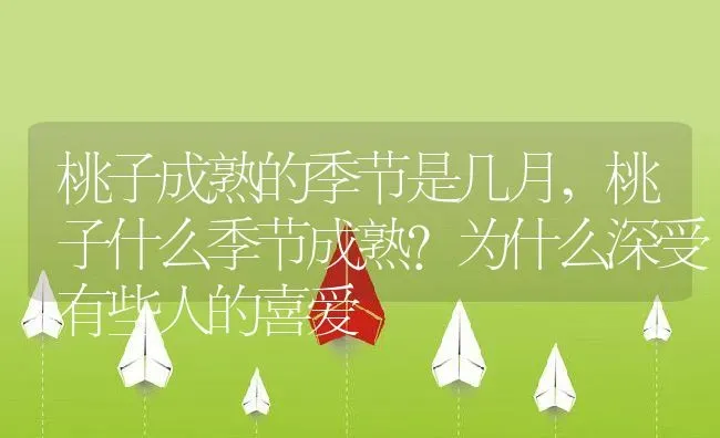 桃子成熟的季节是几月,桃子什么季节成熟?为什么深受有些人的喜爱 | 养殖常见问题