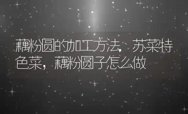 藕粉圆的加工方法,苏菜特色菜，藕粉圆子怎么做 | 养殖常见问题