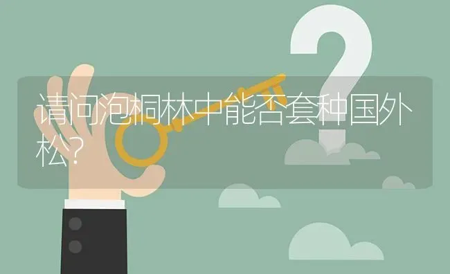 请问泡桐林中能否套种国外松? | 养殖问题解答