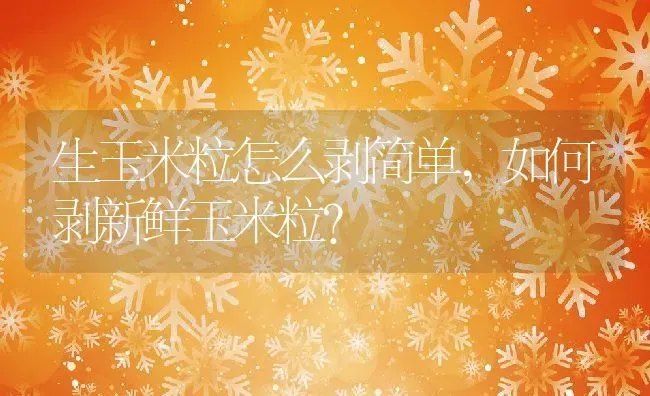 生玉米粒怎么剥简单,如何剥新鲜玉米粒？ | 养殖常见问题