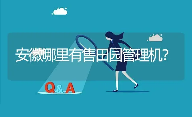 安徽哪里有售田园管理机? | 养殖问题解答