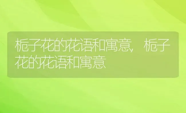 仙人掌的果实叫什么,仙人掌的果实可以吃吗？ | 养殖常见问题