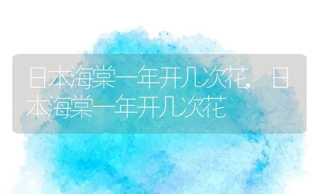 日本海棠一年开几次花,日本海棠一年开几次花 | 养殖常见问题