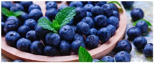 蓝莓几年才可以挂果 | 生活常识