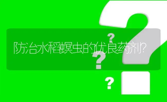 防治水稻螟虫的优良药剂? | 养殖问题解答