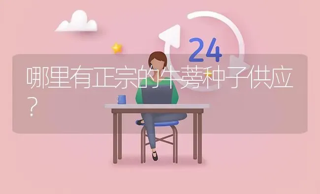 哪里有正宗的牛蒡种子供应? | 养殖问题解答