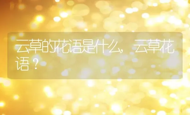 云草的花语是什么,云草花语？ | 养殖常见问题