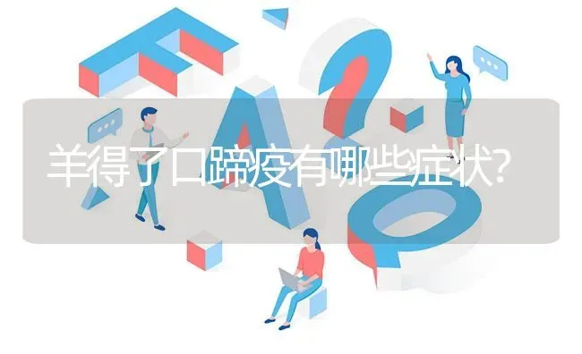 羊得了口蹄疫有哪些症状? | 养殖问题解答