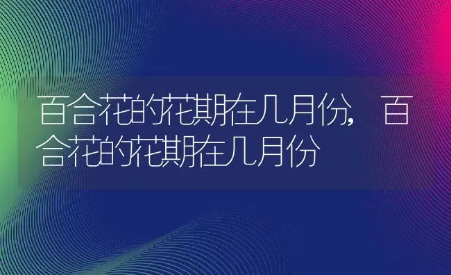 百合花的花期在几月份,百合花的花期在几月份 | 养殖常见问题