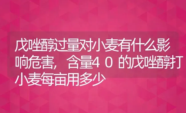 戊唑醇过量对小麦有什么影响危害,含量40的戊唑醇打小麦每亩用多少 | 养殖常见问题