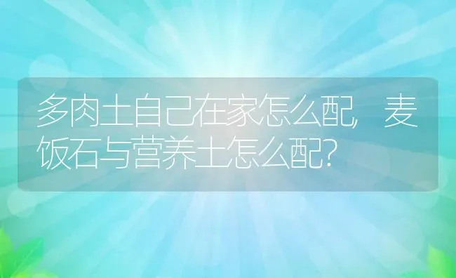 多肉土自己在家怎么配,麦饭石与营养土怎么配？ | 养殖常见问题