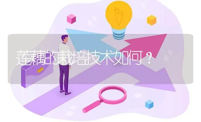 莲藕的栽培技术如何? | 养殖问题解答