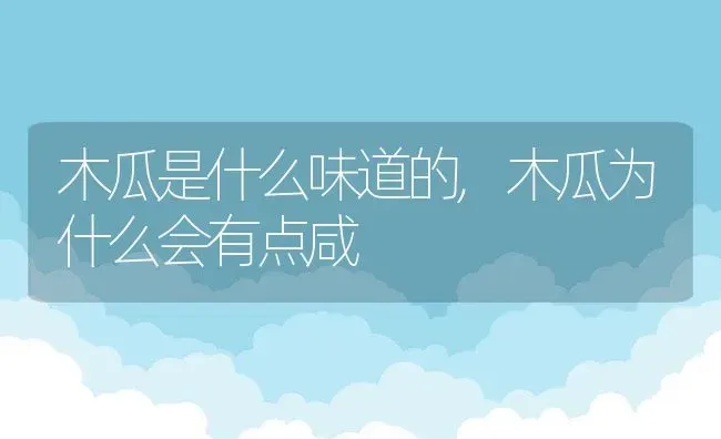 木瓜是什么味道的,木瓜为什么会有点咸 | 养殖常见问题