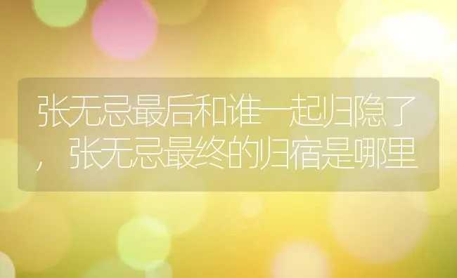 张无忌最后和谁一起归隐了,张无忌最终的归宿是哪里 | 养殖常见问题