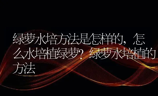 绿萝水培方法是怎样的,怎么水培植绿萝？绿萝水培植的方法 | 养殖常见问题