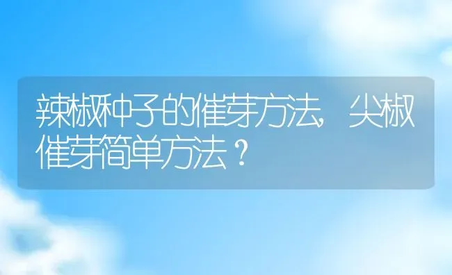 辣椒种子的催芽方法,尖椒催芽简单方法？ | 养殖常见问题