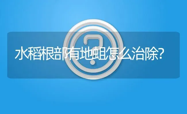 水稻根部有地蛆怎么治除? | 养殖问题解答
