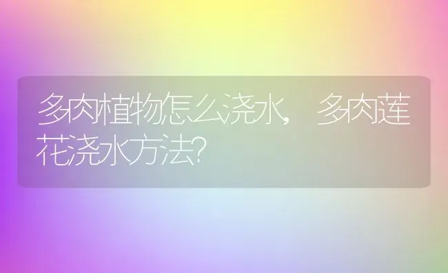 多肉植物怎么浇水,多肉莲花浇水方法？ | 养殖常见问题