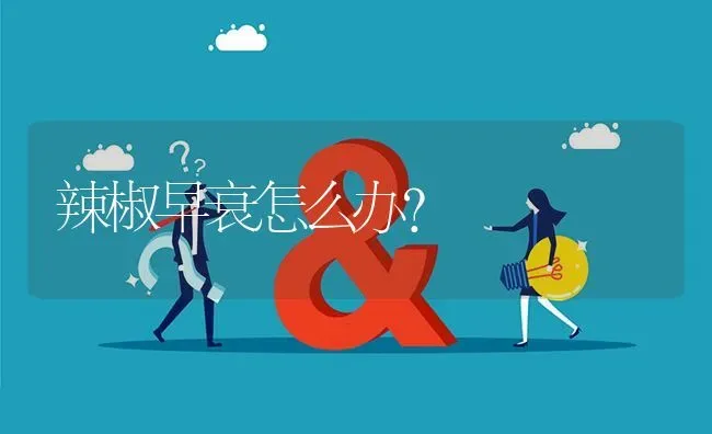 辣椒早衰怎么办? | 养殖问题解答