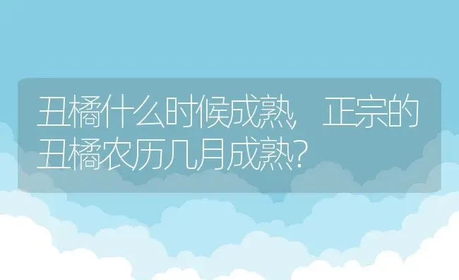 丑橘什么时候成熟,正宗的丑橘农历几月成熟？ | 养殖常见问题