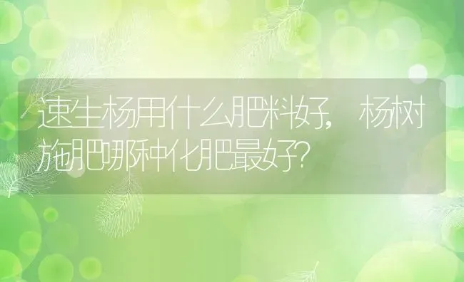 速生杨用什么肥料好,杨树施肥哪种化肥最好？ | 养殖常见问题