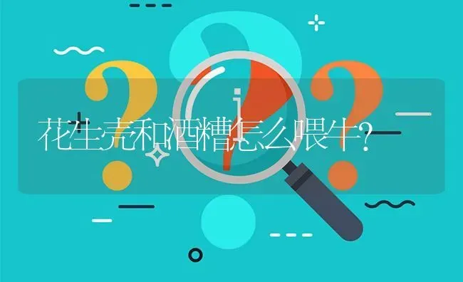 花生壳和酒糟怎么喂牛? | 养殖问题解答