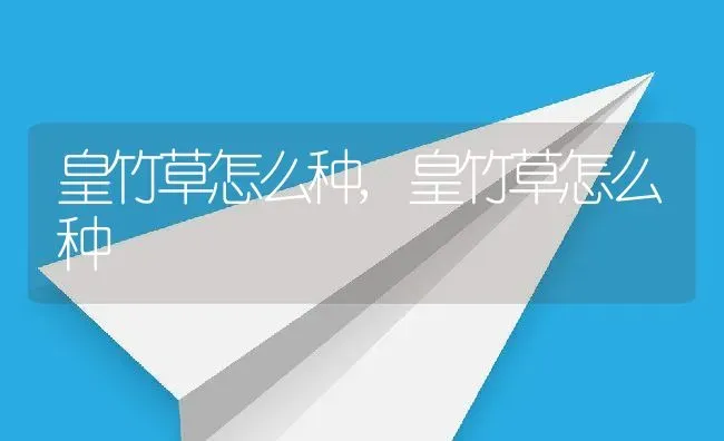 69个精选空气凤梨品种介绍,空气凤梨最好养的品种？ | 养殖常见问题