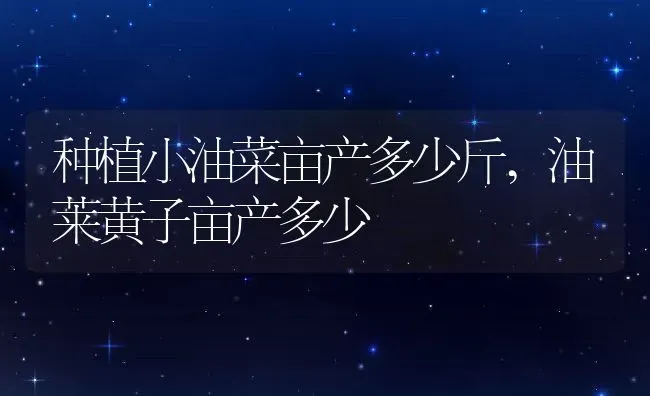 种植小油菜亩产多少斤,油莱黄子亩产多少 | 养殖常见问题