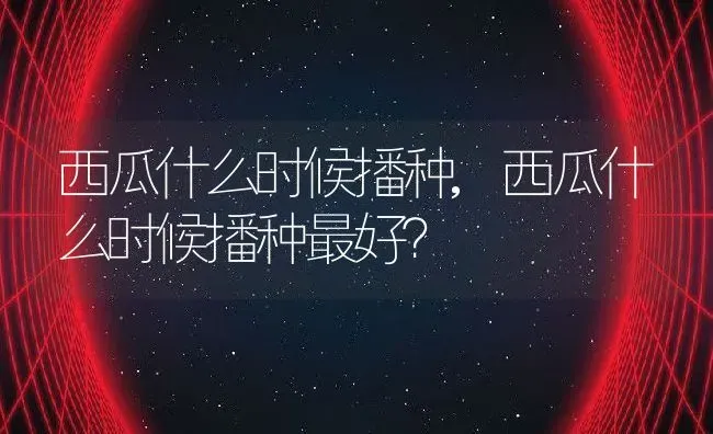 西瓜什么时候播种,西瓜什么时候播种最好？ | 养殖常见问题