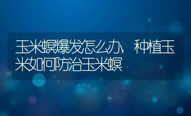 玉米螟爆发怎么办,种植玉米如何防治玉米螟 | 养殖常见问题