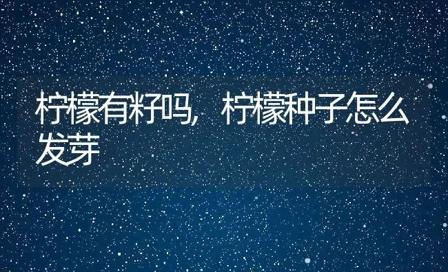 柠檬有籽吗,柠檬种子怎么发芽 | 养殖常见问题