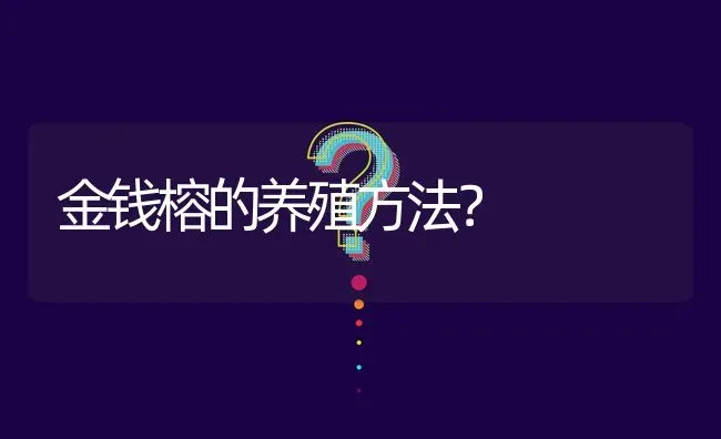 金钱榕的养殖方法? | 养殖问题解答