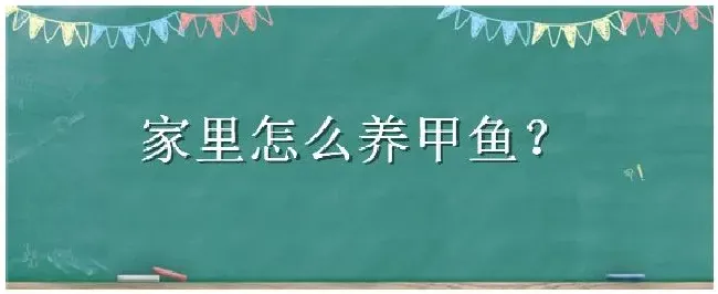 家里怎么养甲鱼 | 生活常识