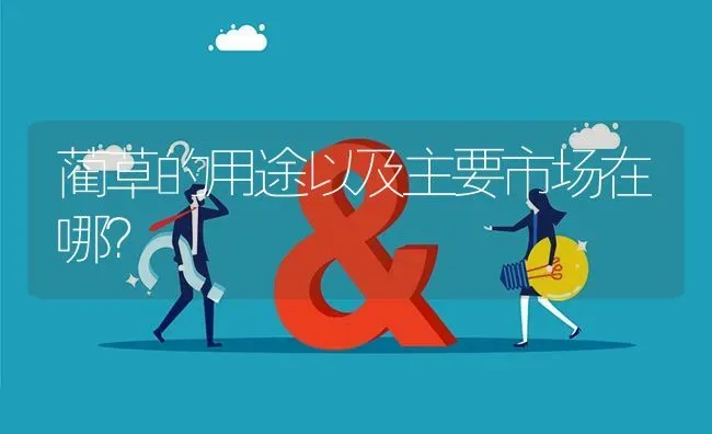 蔺草的用途以及主要市场在哪? | 养殖问题解答