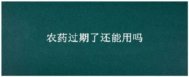 农药过期了还能用吗 | 生活常识