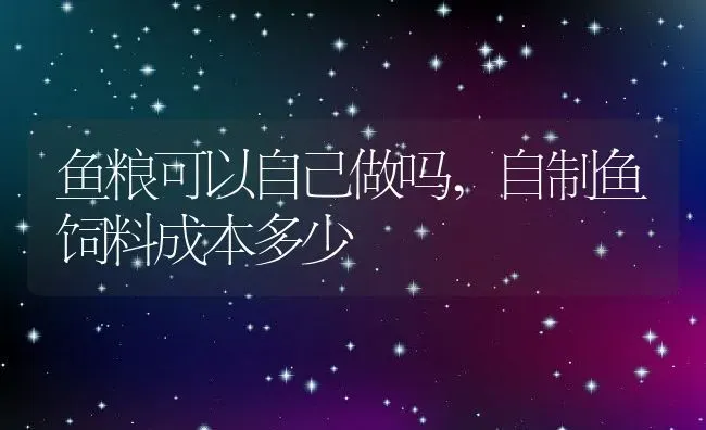 鱼粮可以自己做吗,自制鱼饲料成本多少 | 养殖常见问题