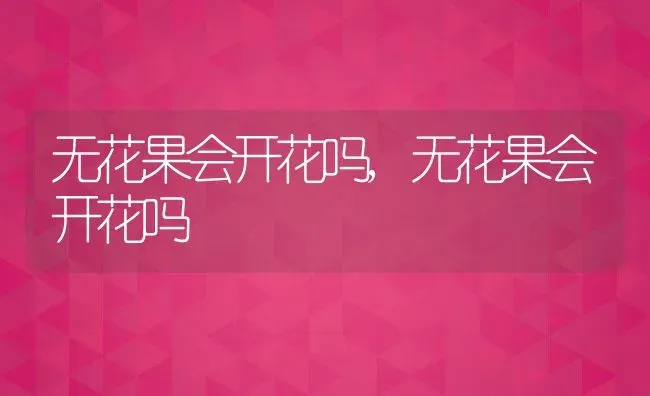 无花果会开花吗,无花果会开花吗 | 养殖常见问题