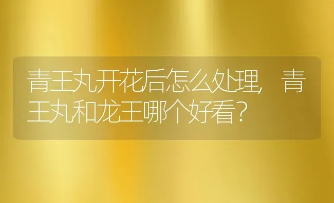 青王丸开花后怎么处理,青王丸和龙王哪个好看？ | 养殖常见问题