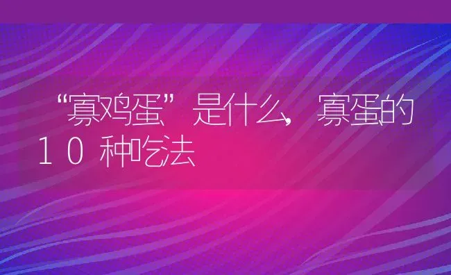 “寡鸡蛋”是什么,寡蛋的10种吃法 | 养殖常见问题