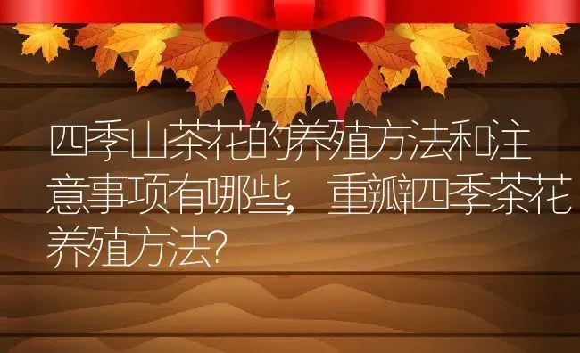 四季山茶花的养殖方法和注意事项有哪些,重瓣四季茶花养殖方法？ | 养殖常见问题