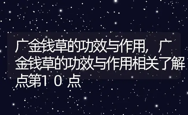 广金钱草的功效与作用,广金钱草的功效与作用相关了解点第10点 | 养殖常见问题