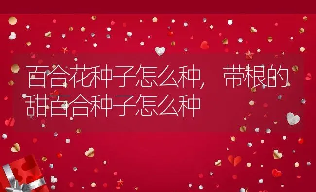 百合花种子怎么种,带根的甜百合种子怎么种 | 养殖常见问题