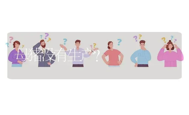 母猪没有生产? | 养殖问题解答