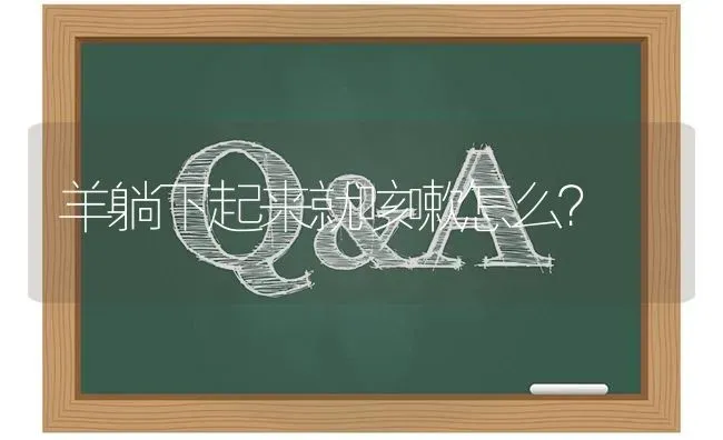 羊躺下起来就咳嗽怎么? | 养殖问题解答