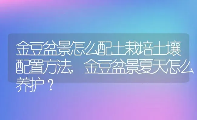 金豆盆景怎么配土栽培土壤配置方法,金豆盆景夏天怎么养护？ | 养殖常见问题